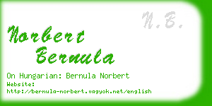 norbert bernula business card